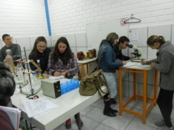 Praticas de laboratório - Alunos de Biologia